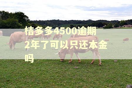 桔多多4500逾期2年了可以只还本金吗