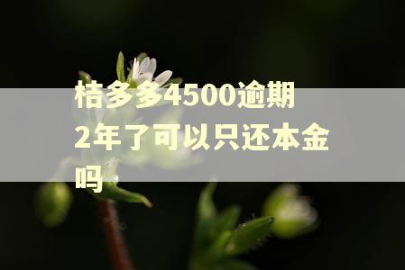 桔多多4500逾期2年了可以只还本金吗 桔多多4500逾期2年了可以只还本金吗