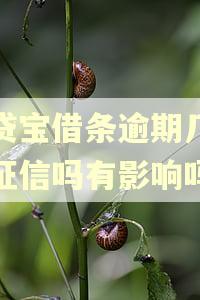 借贷宝借条逾期几天上征信吗有影响吗