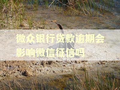 微众银行贷款逾期会影响微信征信吗