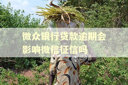 微众银行贷款逾期会影响微信征信吗 微众银行贷款逾期会影响微信征信吗