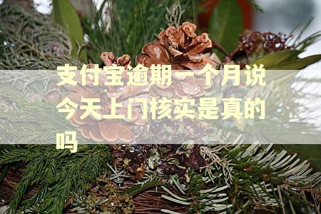 支付宝逾期一个月说今天上门核实是真的吗