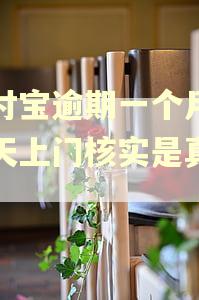 支付宝逾期一个月说今天上门核实是真的吗