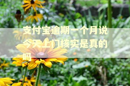 支付宝逾期一个月说今天上门核实是真的吗