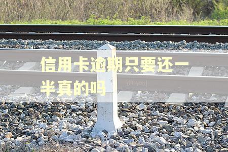 信用卡逾期只要还一半真的吗