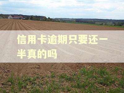信用卡逾期只要还一半真的吗