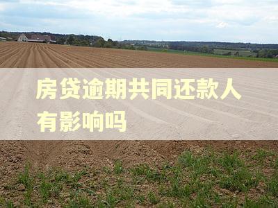 房贷逾期共同还款人有影响吗