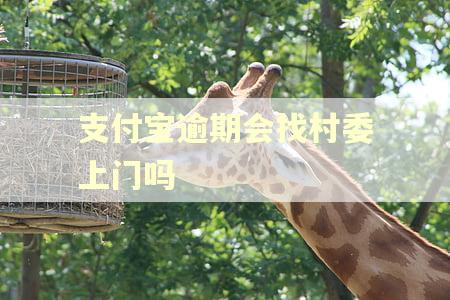 支付宝逾期会找村委上门吗