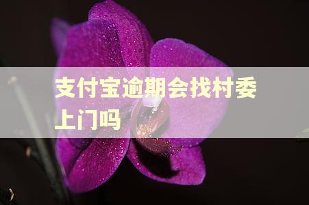 支付宝逾期会找村委上门吗