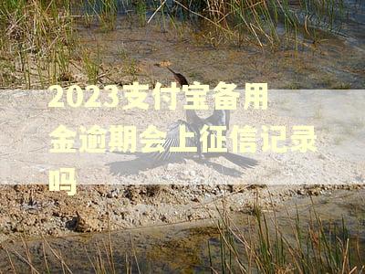 2023支付宝备用金逾期会上征信记录吗