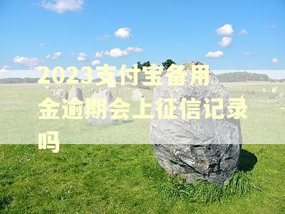 2023支付宝备用金逾期会上征信记录吗