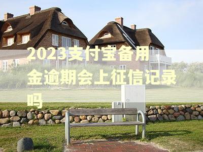 2023支付宝备用金逾期会上征信记录吗