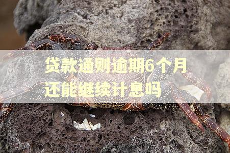 贷款通则逾期6个月还能继续计息吗