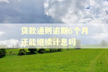 贷款通则逾期6个月还能继续计息吗