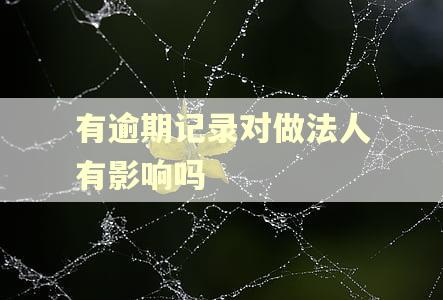 有逾期记录对做法人有影响吗