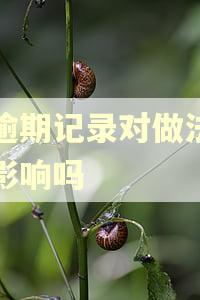 有逾期记录对做法人有影响吗