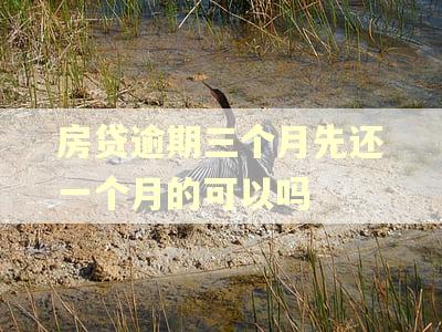 房贷逾期三个月先还一个月的可以吗