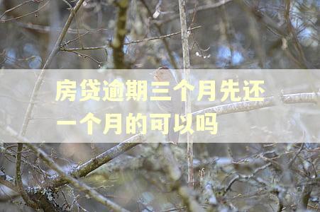 房贷逾期三个月先还一个月的可以吗