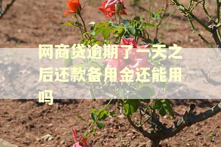 网商贷逾期了一天之后还款备用金还能用吗