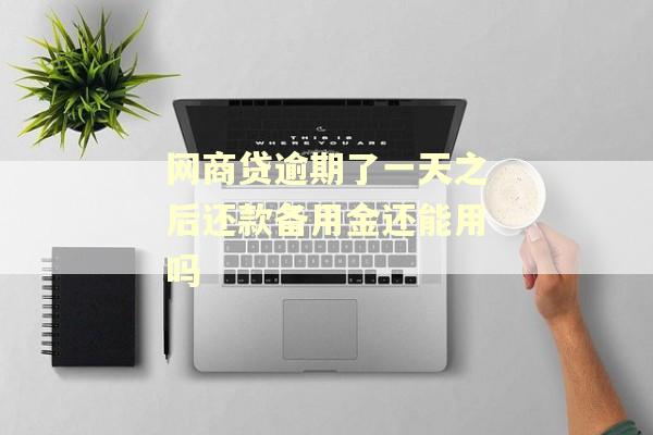 网商贷逾期了一天之后还款备用金还能用吗