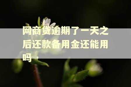 网商贷逾期了一天之后还款备用金还能用吗