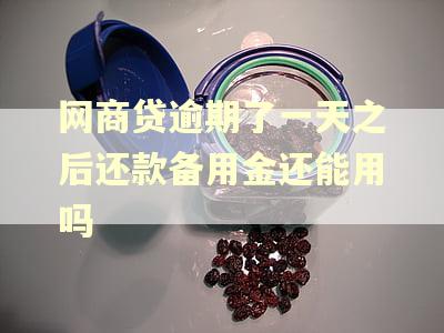 网商贷逾期了一天之后还款备用金还能用吗