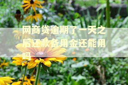 网商贷逾期了一天之后还款备用金还能用吗