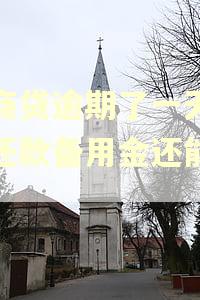 网商贷逾期了一天之后还款备用金还能用吗 网商贷逾期了一天之后还款备用金还能用吗