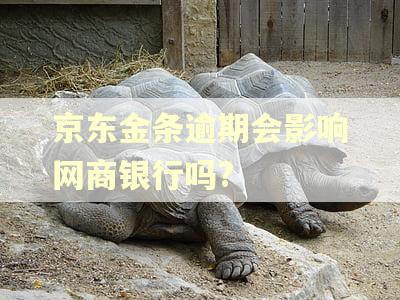京东金条逾期会影响网商银行吗?