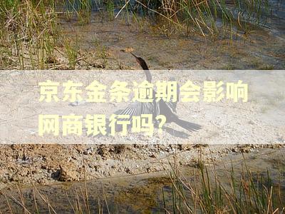 京东金条逾期会影响网商银行吗?