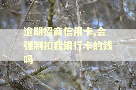 逾期招商信用卡,会强制扣我银行卡的钱吗 逾期招商信用卡,会强制扣我银行卡的钱吗