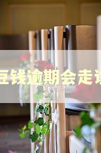 豆豆钱逾期会走访吗