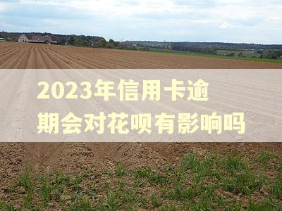 2023年信用卡逾期会对花呗有影响吗 2023年信用卡逾期会对花呗有影响吗