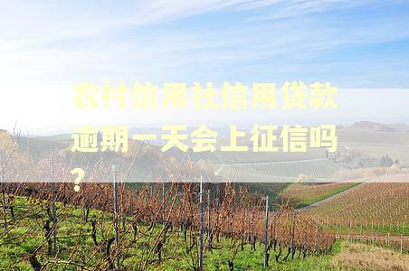农村信用社信用贷款逾期一天会上征信吗?
