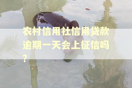 农村信用社信用贷款逾期一天会上征信吗?