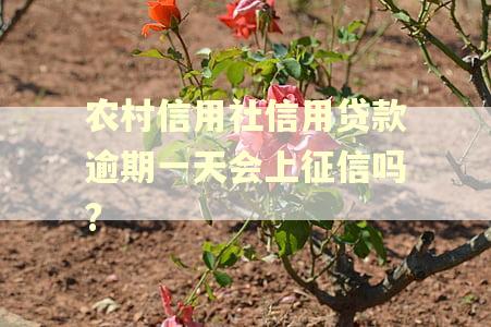 农村信用社信用贷款逾期一天会上征信吗?