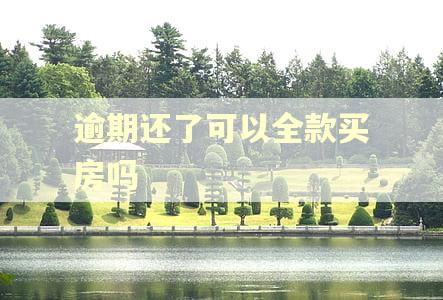 逾期还了可以全款买房吗