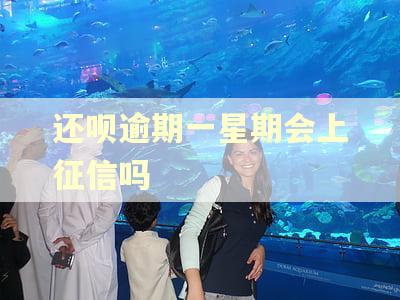 还呗逾期一星期会上征信吗