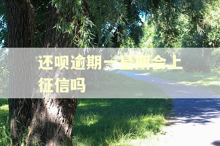 还呗逾期一星期会上征信吗