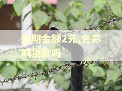 逾期金额2元,会影响贷款吗
