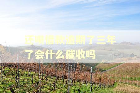 还呗借款逾期了三年了会什么催收吗