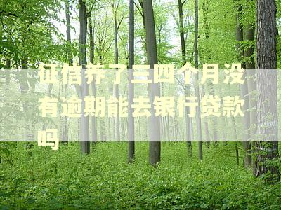征信养了三四个月没有逾期能去银行贷款吗