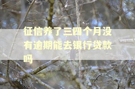 征信养了三四个月没有逾期能去银行贷款吗