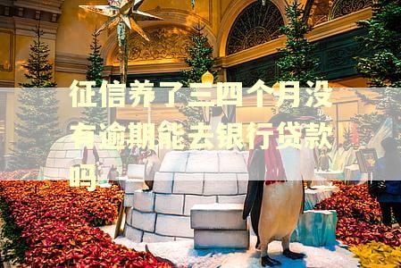 征信养了三四个月没有逾期能去银行贷款吗