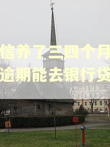 征信养了三四个月没有逾期能去银行贷款吗