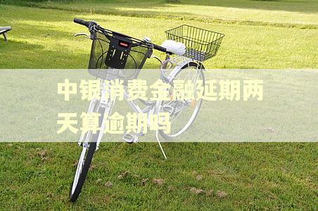 中银消费金融延期两天算逾期吗