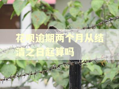 花呗逾期两个月从结清之日起算吗