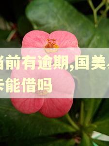 当前有逾期,国美易卡能借吗