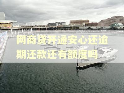 网商贷开通安心还逾期还款还有额度吗