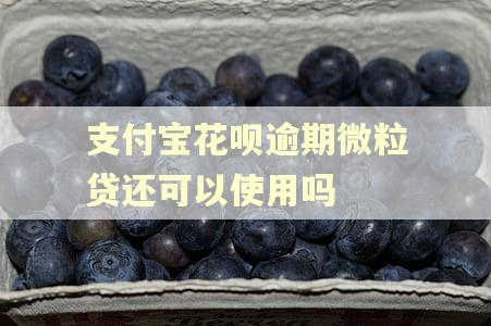 支付宝花呗逾期微粒贷还可以使用吗